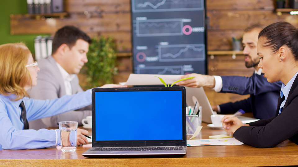 Despill Maestro color protection example 1