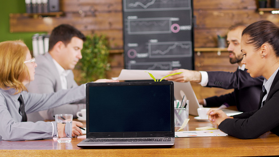 Despill Maestro color protection example 2