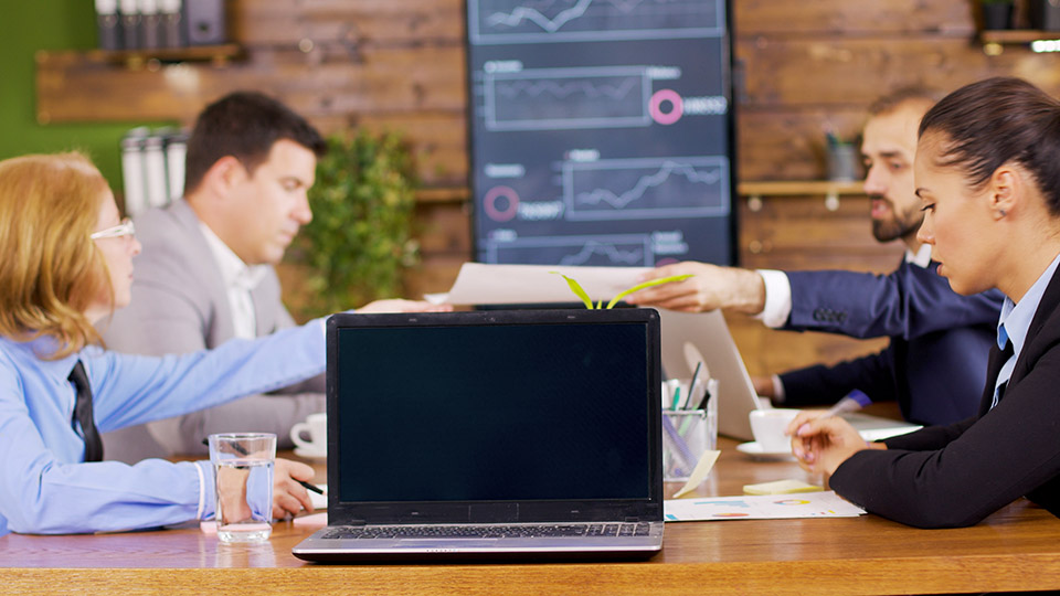 Despill Maestro color protection example 3